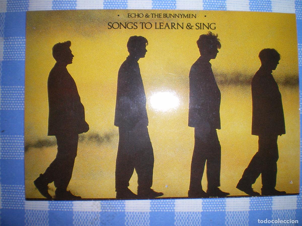 Fotos de Cantantes: POSTAL ECHO AND THE BUNNYMEN