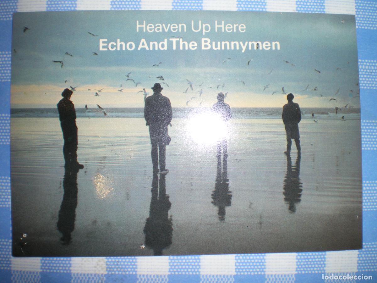 Fotos de Cantantes: POSTAL ECHO AND THE BUNNYMEN