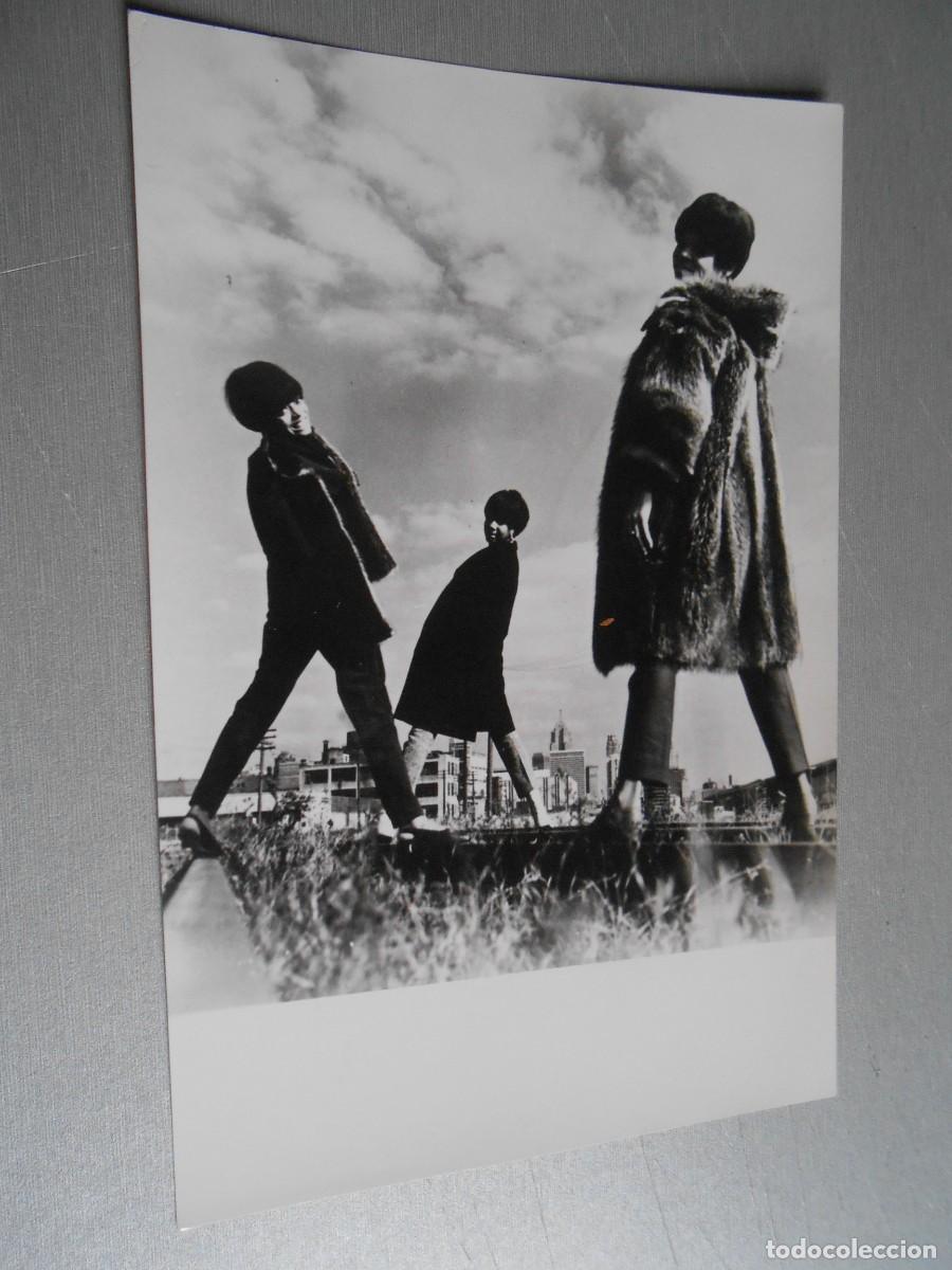Photos of Singers: Foto de THE SUPREMES de 12 x 18 cm.