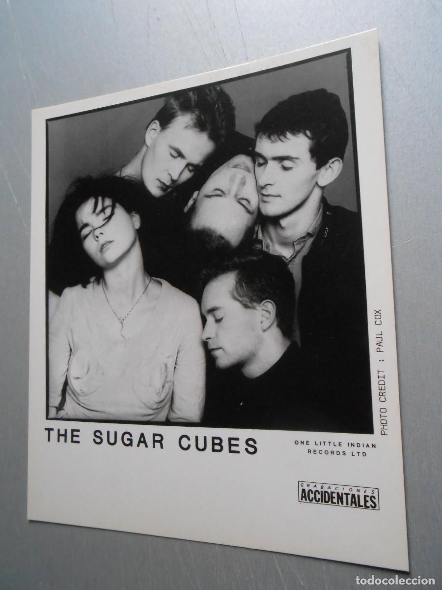 Fotos de Cantantes: Foto de THE SUGAR CUBES de 17 x 20,5 cm.
