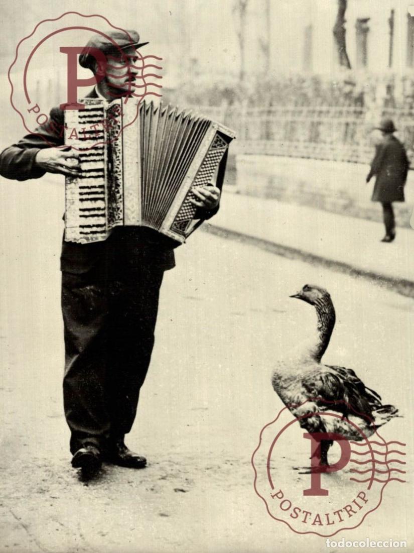 Photos of Singers: ACCORDEON STREET MUSIQUE 18*13CM MUSICA MUSIQUE MUSIC MUZIEK ACCORDEON