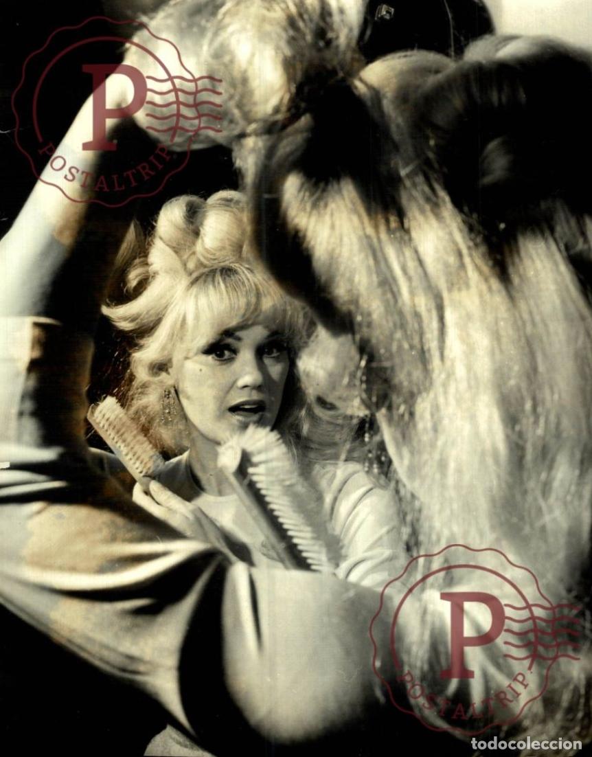 Fotos de Cantantes: MAMIE VAN DOREN USA SINGER OLIVIA FREDDY QUINN 21*16CM MUSICA MUSIQUE MUSIC MUZIEK