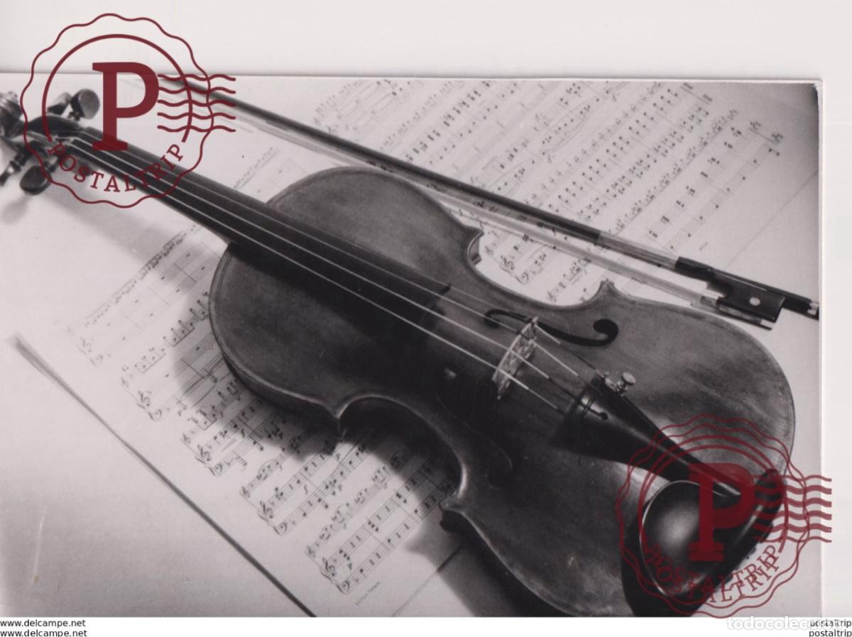 Fotos de Cantantes: VIOLIN VIOLON VIOOL FIDDLE. 16X12,5 CM MUSICA MUSIQUE MUSIC MUZIEK.