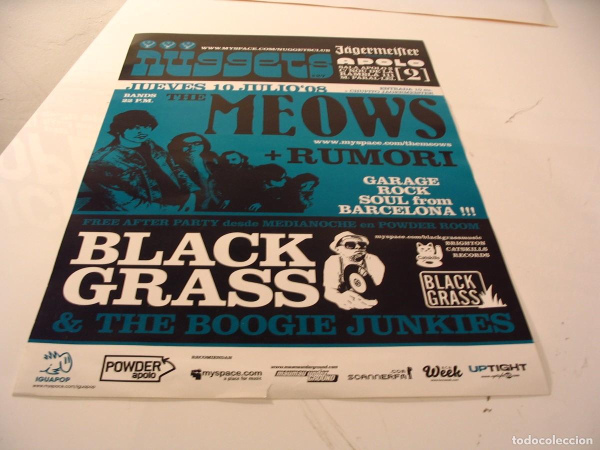 Fotos de Cantantes: MEOWS BLACK GRASS RUMORI CARTEL ORIGINAL 2008 Barcelona GIRA TOUR 42x30