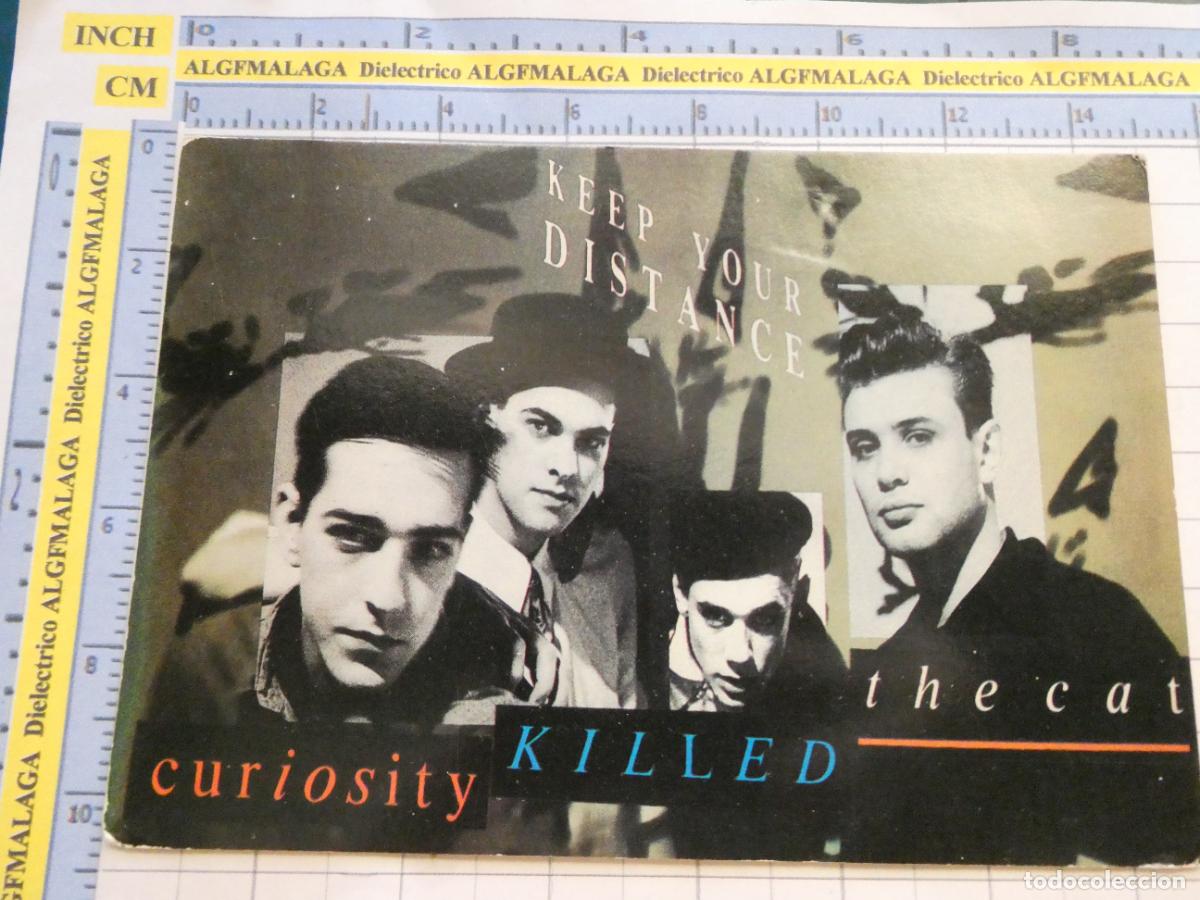 Fotos de Cantantes: POSTAL DE M&Uacute;SICA CANTANTES GRUPOS MUSICALES. CURIOSITY KILLED THE CAT. CURIOSIDAD MAT&Oacute; AL GATO. 2688