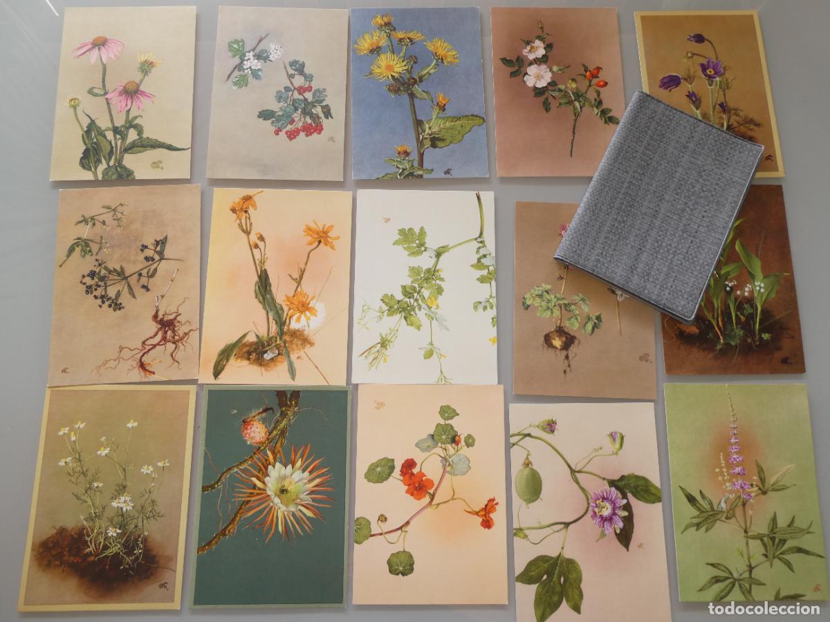 Fotos de Cantantes: LOTE 15 POSTALES DE FLORES PLANTAS. ALEMANIA A&Ntilde;OS 50. BUNDESGARTENSCHAU COLONIA 1957. 2706