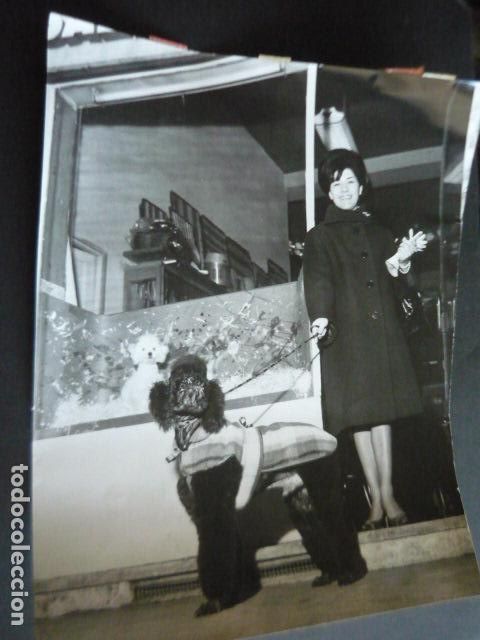 Photos of Singers: MIRIAM DEL MARE CANTANTE ANTIGUA FOTOGRAFIA ORIGINAL 24 X 30 CM