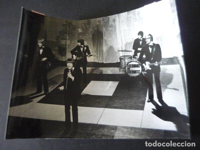 Fotos von Musikern: HERMANS HERMITS CONJUNTO MUSICAL ANTIGUA FOTOGRAFIA ORIGINAL 18 X 24 CM