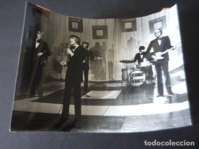 Fotos von Musikern: HERMANS HERMITS CONJUNTO MUSICAL ANTIGUA FOTOGRAFIA ORIGINAL 18 X 24 CM