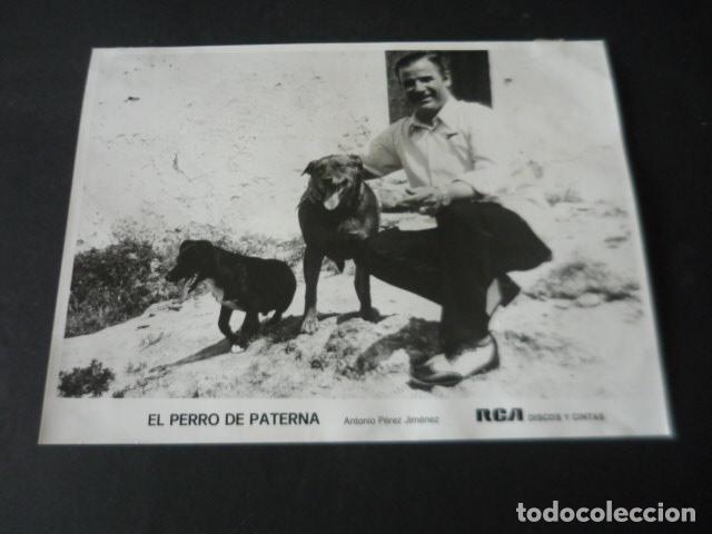 Photos of Singers: EL PERRO DE PATERNA CANTANTE ANTIGUA FOTOGRAFIA ORIGINAL 18 X 24 CM