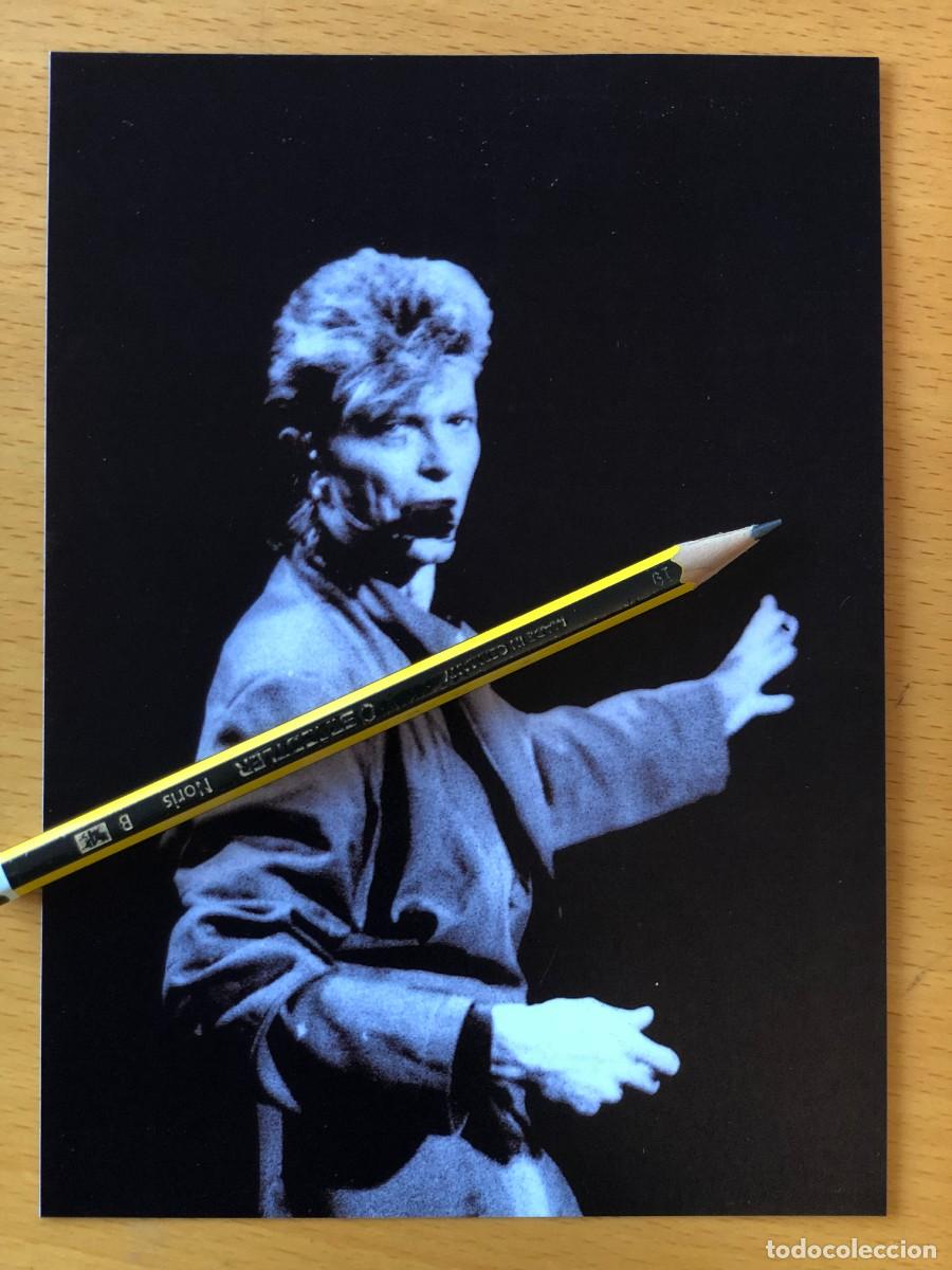 Fotos de Cantantes: David Bowie. Foto 17x13. by Flowers, con sello. Vicente Calder&oacute;n, Madrid 1987.