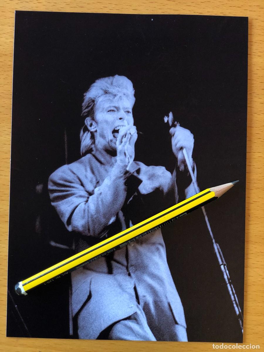 Fotos de Cantantes: David Bowie. Foto 17x13. by Flowers, con sello. Vicente Calder&oacute;n, Madrid 1987.