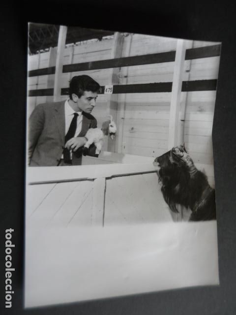 Photos de Chanteurs et Chanteuses: GILBERT BECAUD CANTANTE ANTIGUA FOTOGRAFIA ORIGINAL 24 X 18 CM