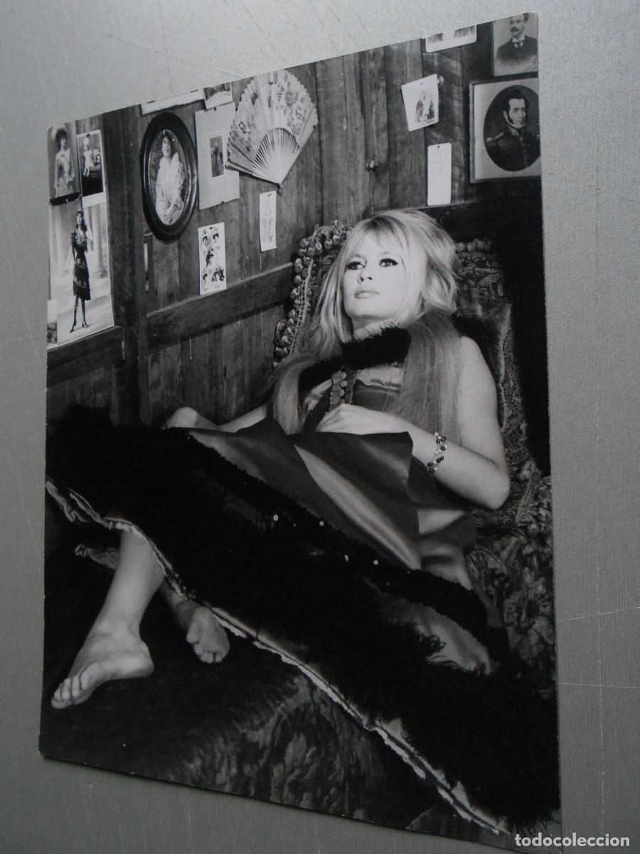 Fotos de Cantantes: FOTO de - BRIGITTE BARDOT - de 18 x 24 cms