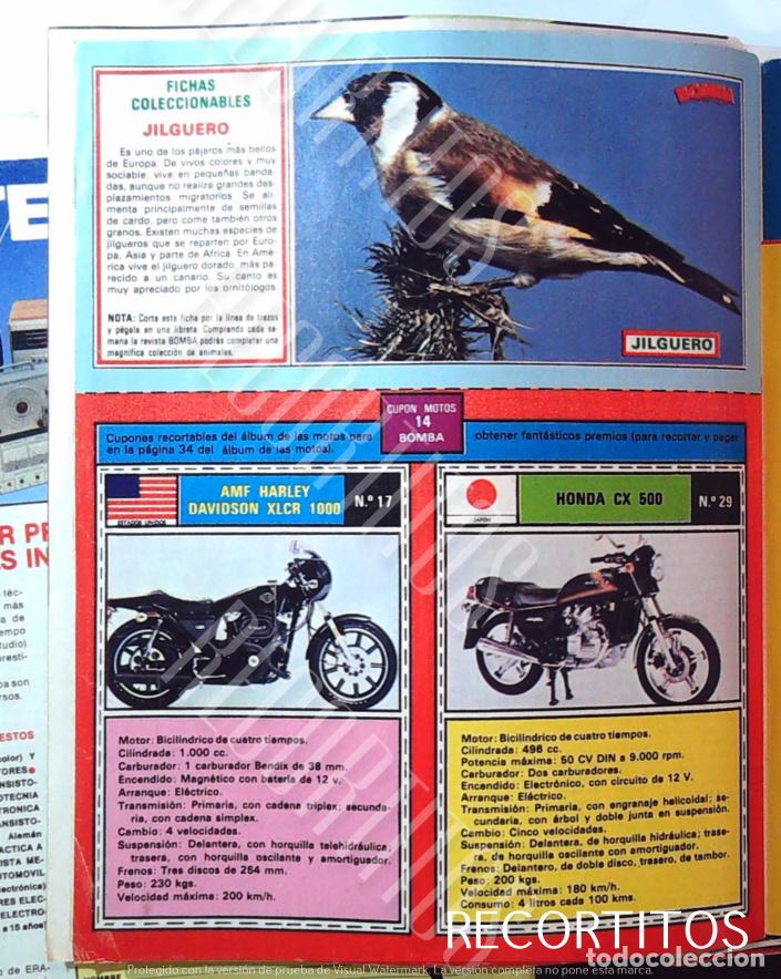 Fotos de Cantantes: HARLEY DAVISON FICHA XLCR 1000 HONDA CX 500 EVES EL JILGUERO