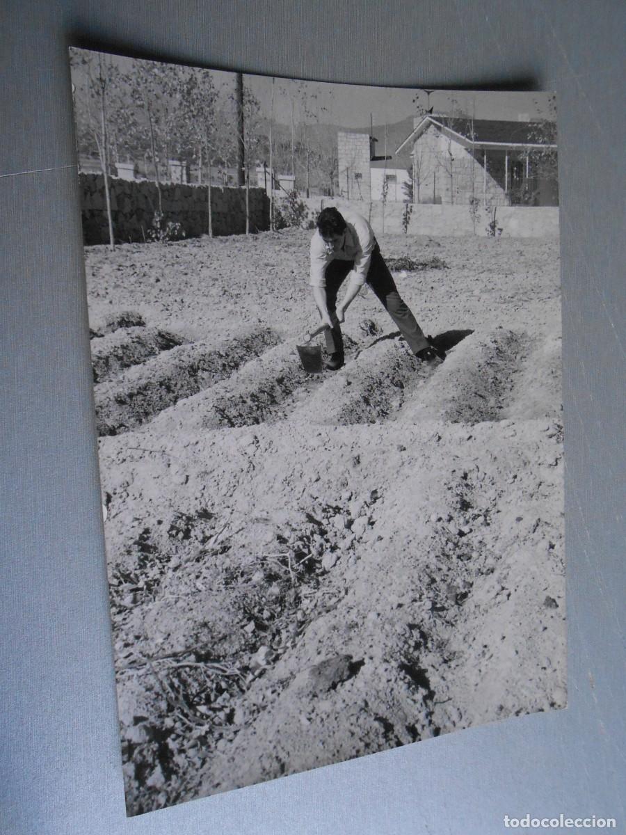 Fotos de Cantantes: FOTO de - MIGUEL RIOS - de 13 x 18 cms.