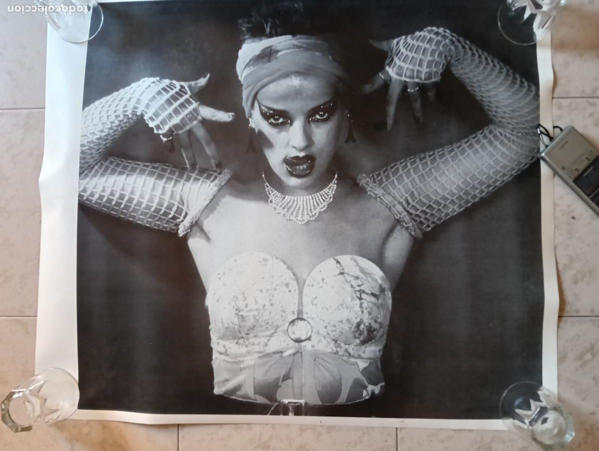 Photos of Singers: NINA HAGEN Magnifico Poster 0,70x0,70 Cartulina Rigida como NUEVO.Ver titulos y dem&aacute;s informaci&oacute;n en