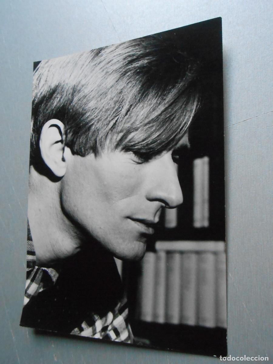 Fotos de cantantes: FOTO de - NINO FERRER - de 12,5 x 17,5 cms.