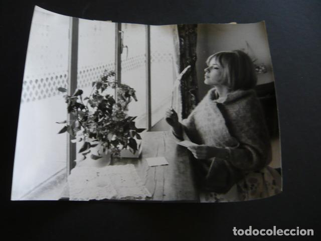 Fotos de Cantores: FRANCE GALL CANTANTE ANTIGUA FOTOGRAFIA ORIGINAL 18 X 24 CM