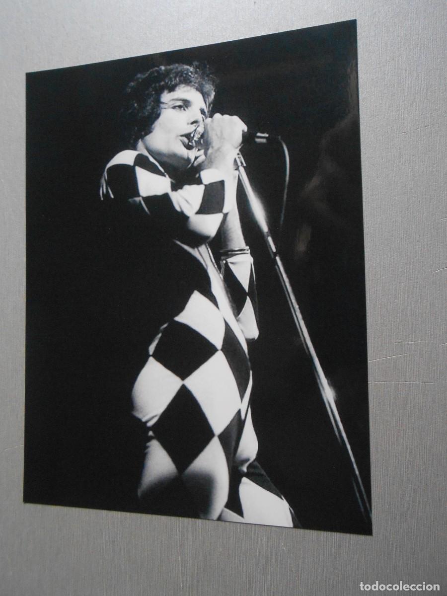 Fotos de Cantores: COPIA de Foto de - FREDDIE MERCURY - de 12,5 x 16,5 cm