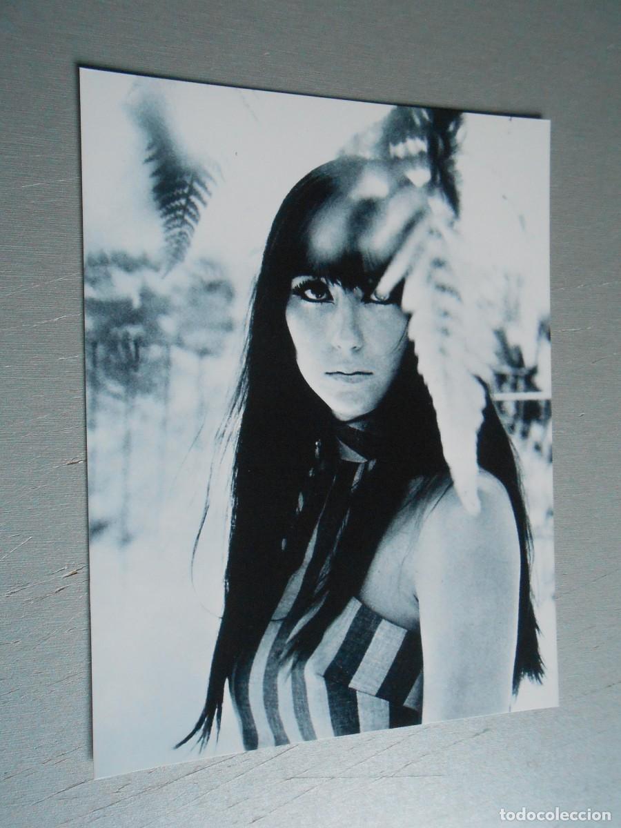 Fotos de cantantes: COPIA de Foto de - CHER - de 12,5 x 16,5 cm.