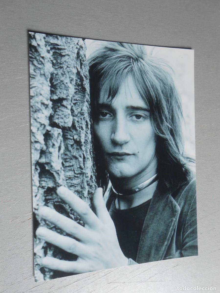 Fotos de cantantes: COPIA de Foto de - ROD STEWART - de 12,5 x 16,5 cm.