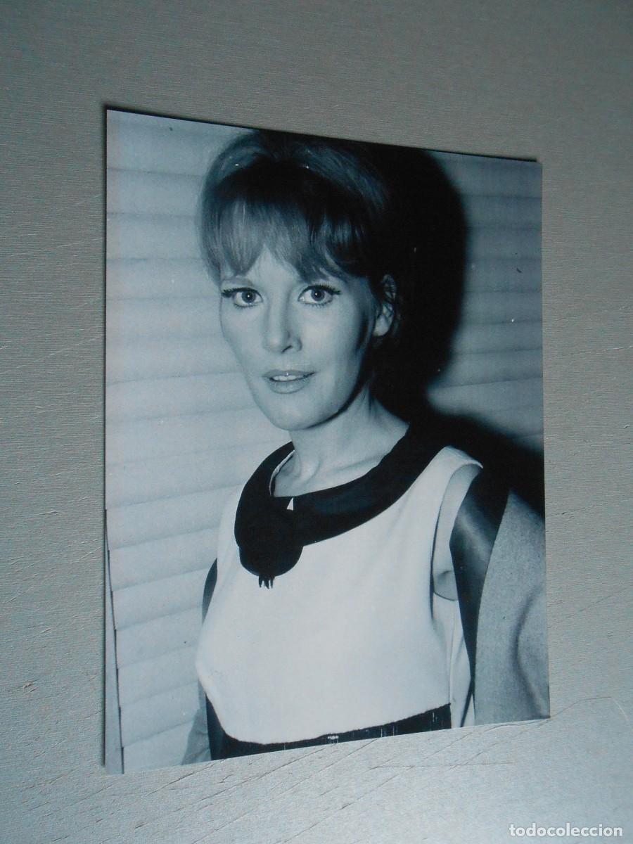 Fotos de cantantes: COPIA de Foto de - PETULA CLARK - de 12,5 x 16,5 cm.