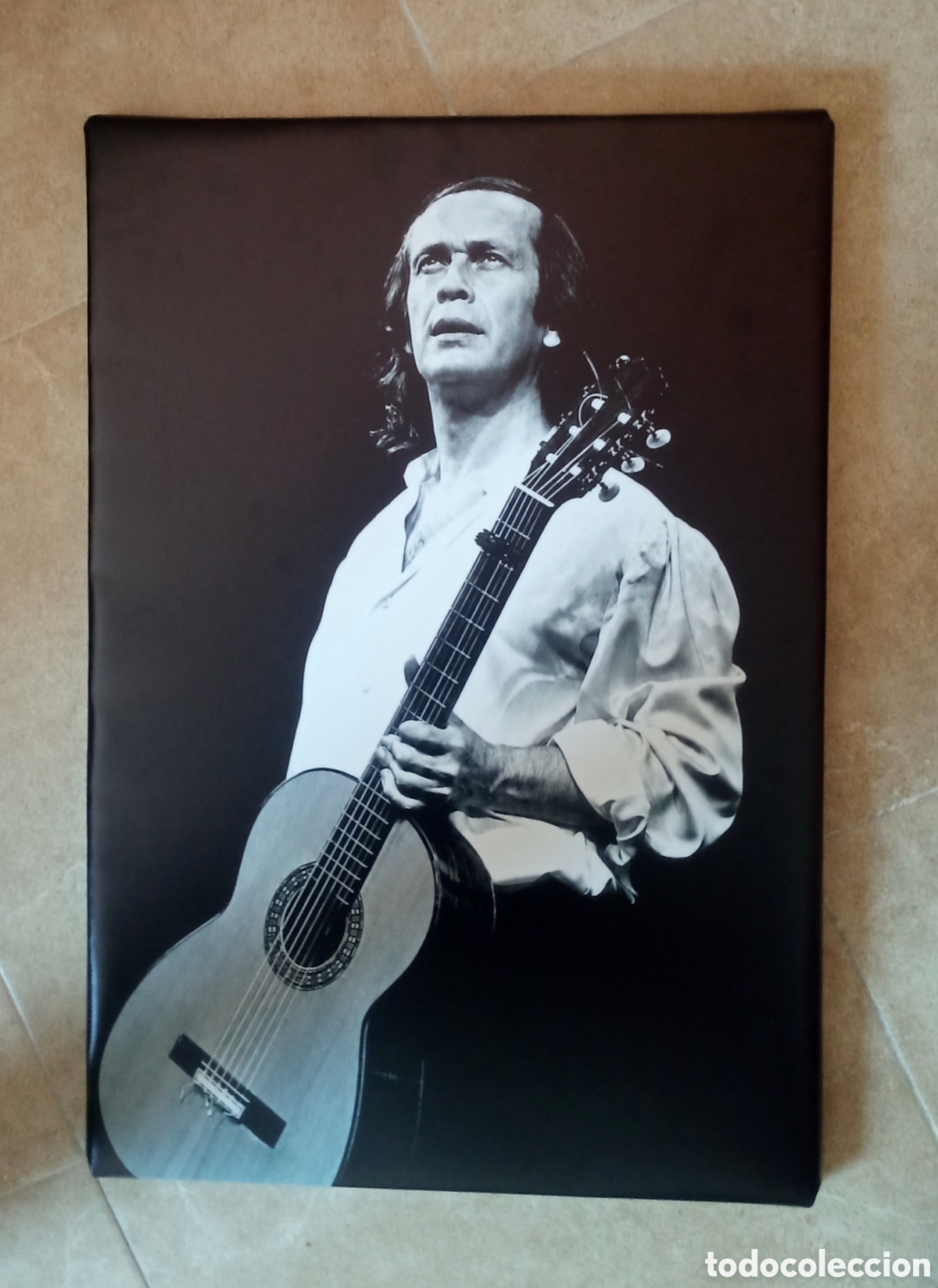 Fotos de cantantes: Cuadro PACO DE LUCIA