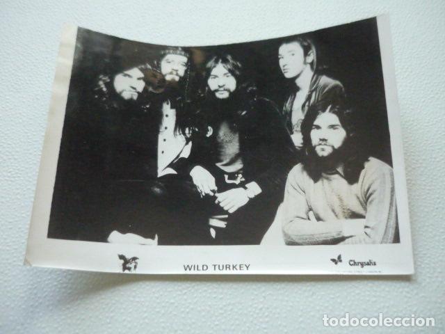 Fotos de cantantes: WILD TURKEY CONJUNTO MUSICAL ANTIGUA FOTOGRAFIA ORIGINAL 13 X 18 CM