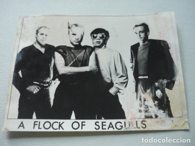 Photos de Chanteurs et Chanteuses: A FLOCK OF SEAGULLS CONJUNTO MUSICAL ANTIGUA FOTOGRAFIA ORIGINAL 24 X 18 CM