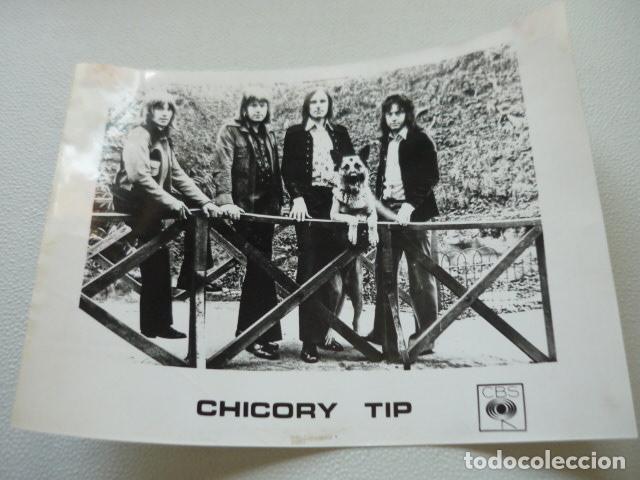 Photos de Chanteurs et Chanteuses: CHICORY TIP CONJUNTO MUSICAL ANTIGUA FOTOGRAFIA ORIGINAL 18 X 24 CM