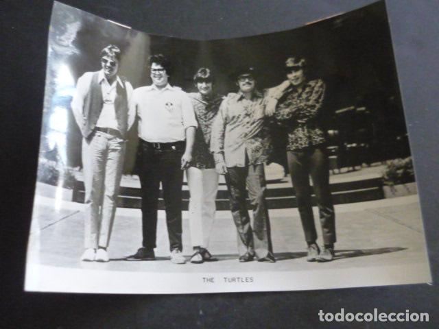 Fotos de Cantores: THE TURTLES CONJUNTO MUSICAL ANTIGUA FOTOGRAFIA ORIGINAL 18 X 24 CM