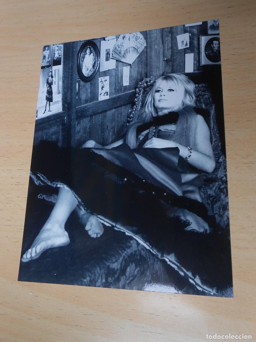 Fotos de cantantes: COPIA de FOTO de - BRIGITTE BARDOT - de 12,5 x 16,5 cms.