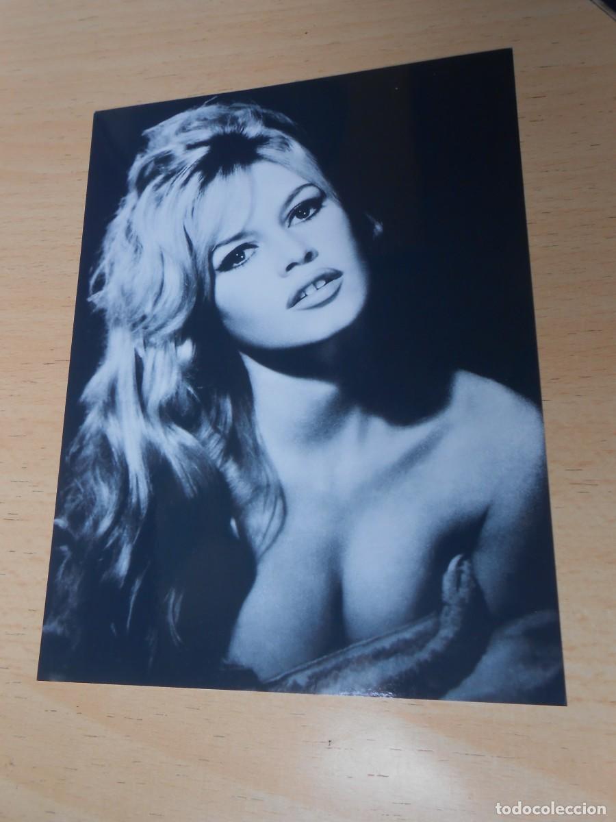 Fotos de cantantes: COPIA de FOTO de - BRIGITTE BARDOT - de 12,5 x 16,5 cms.