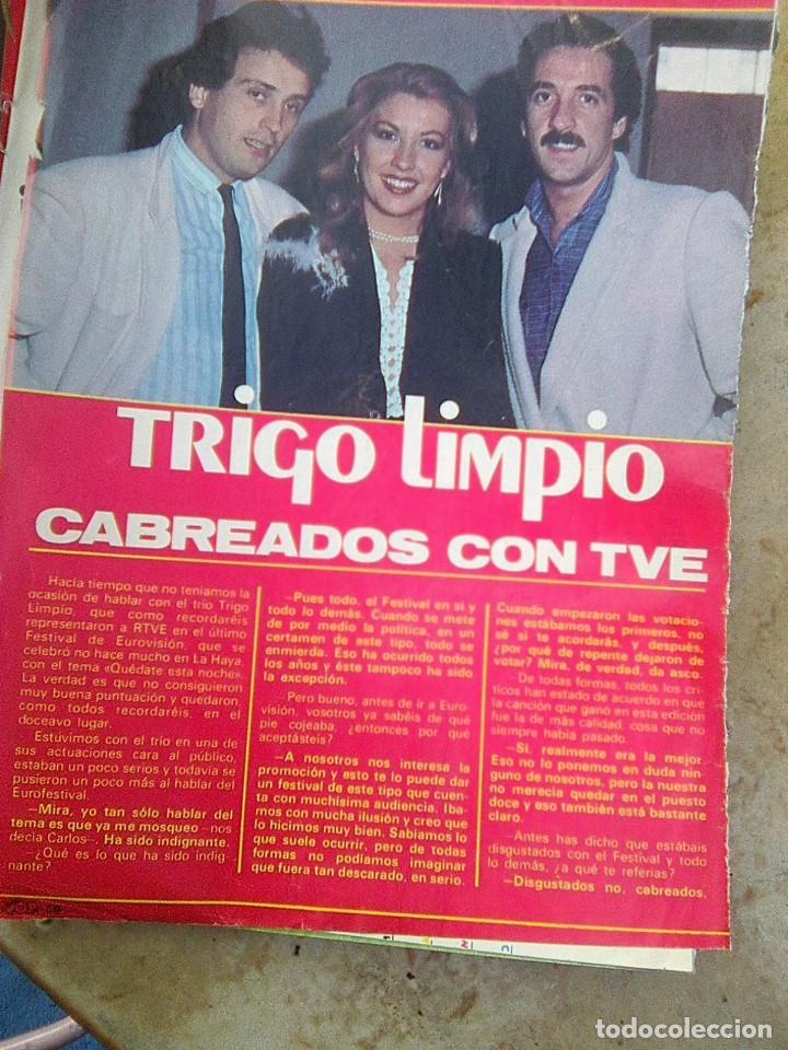 Revistas de m&uacute;sica: Trigo Limpio - reportaje super pop 1980 - 2 pagina - Eurovision - patt Governa