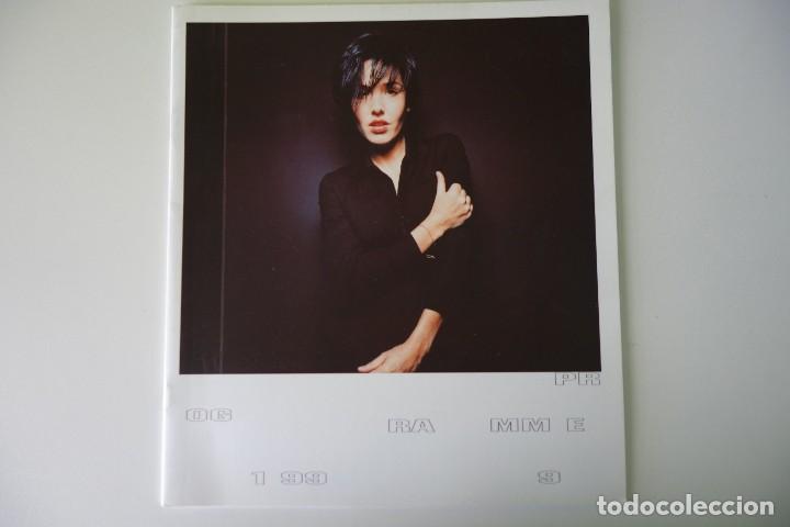 Revistas de m&uacute;sica: TEXAS: Tour Programme 1990. PROGRAMA DE GIRA OFICIAL - Foto 1
