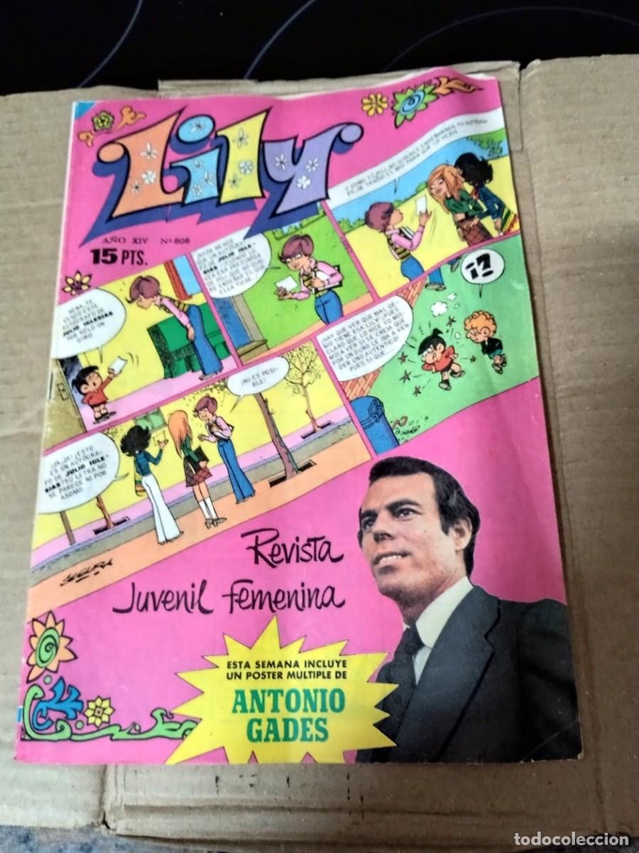 Revistas de m&uacute;sica: LILY JULIO IGLESIAS / REVISTA JUVENIL FEMENINA 15 PTS.