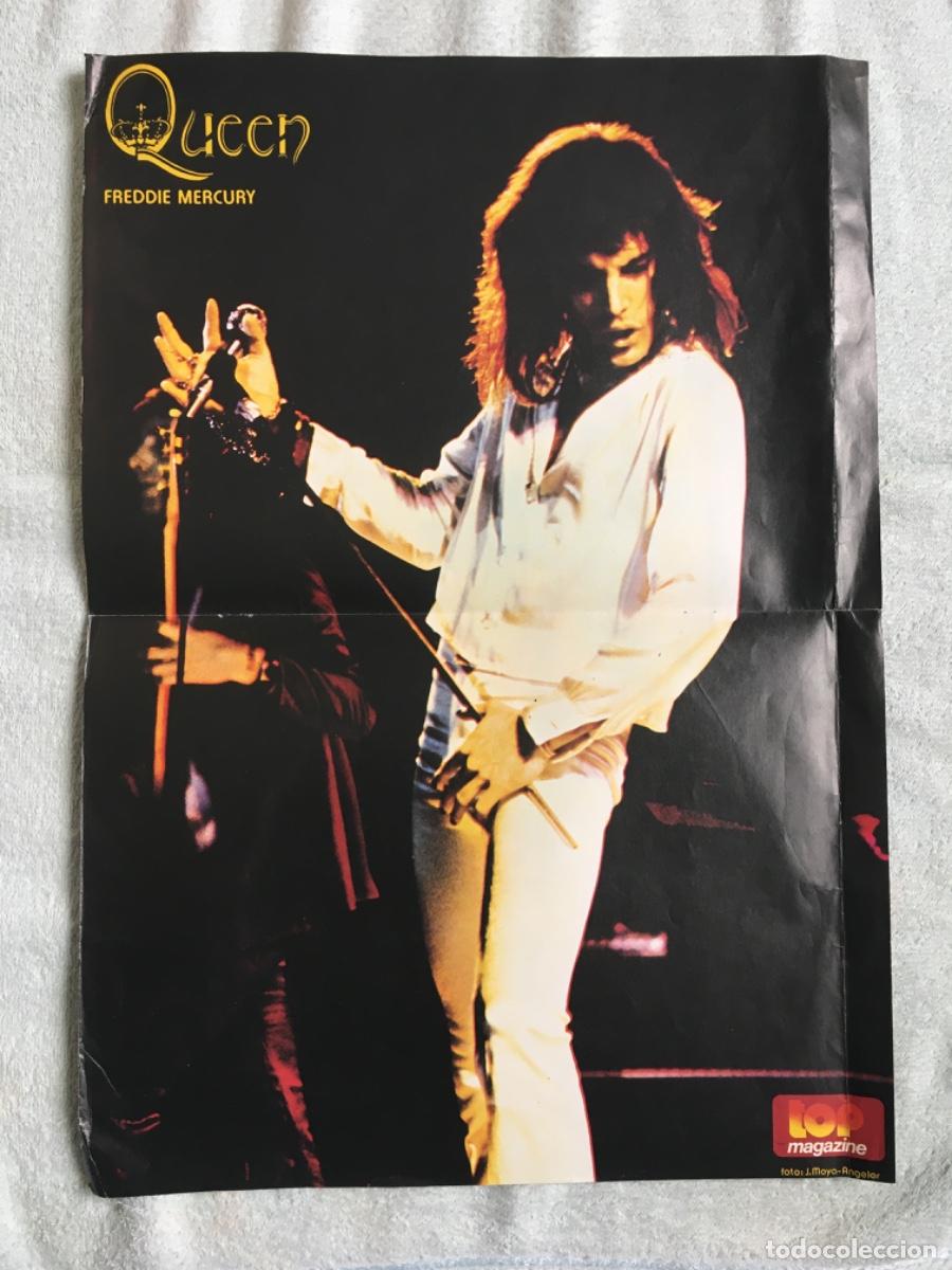 Freddie Mercury Poster - Posterton