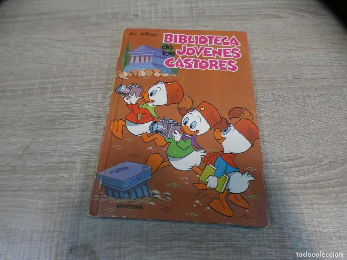 Music magazines: ARKANSAS1980 INFANTIL ESTADO DECENTE BIBL. JOVENES CASTORES ED MONTENA