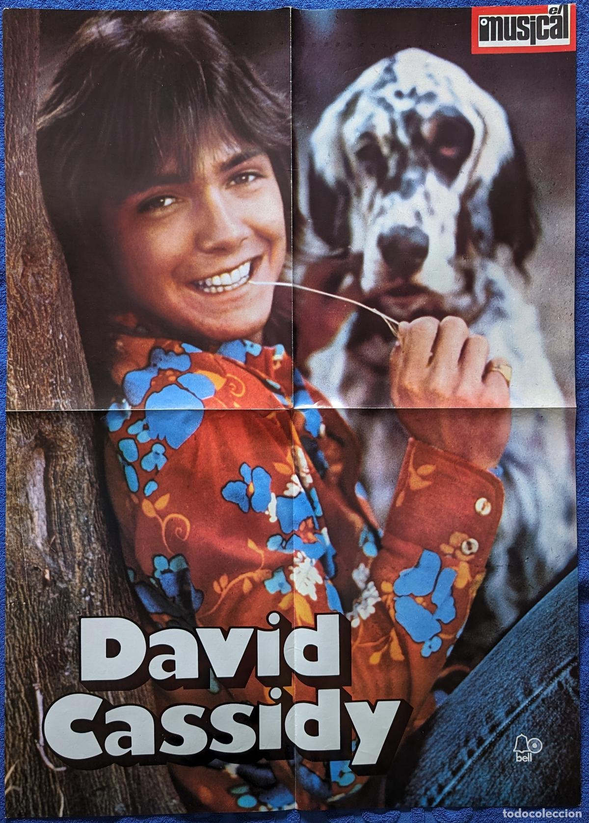 Magazines de musique: David Cassidy - El Gran Musical - Poster Gigante &iexcl;Raro!