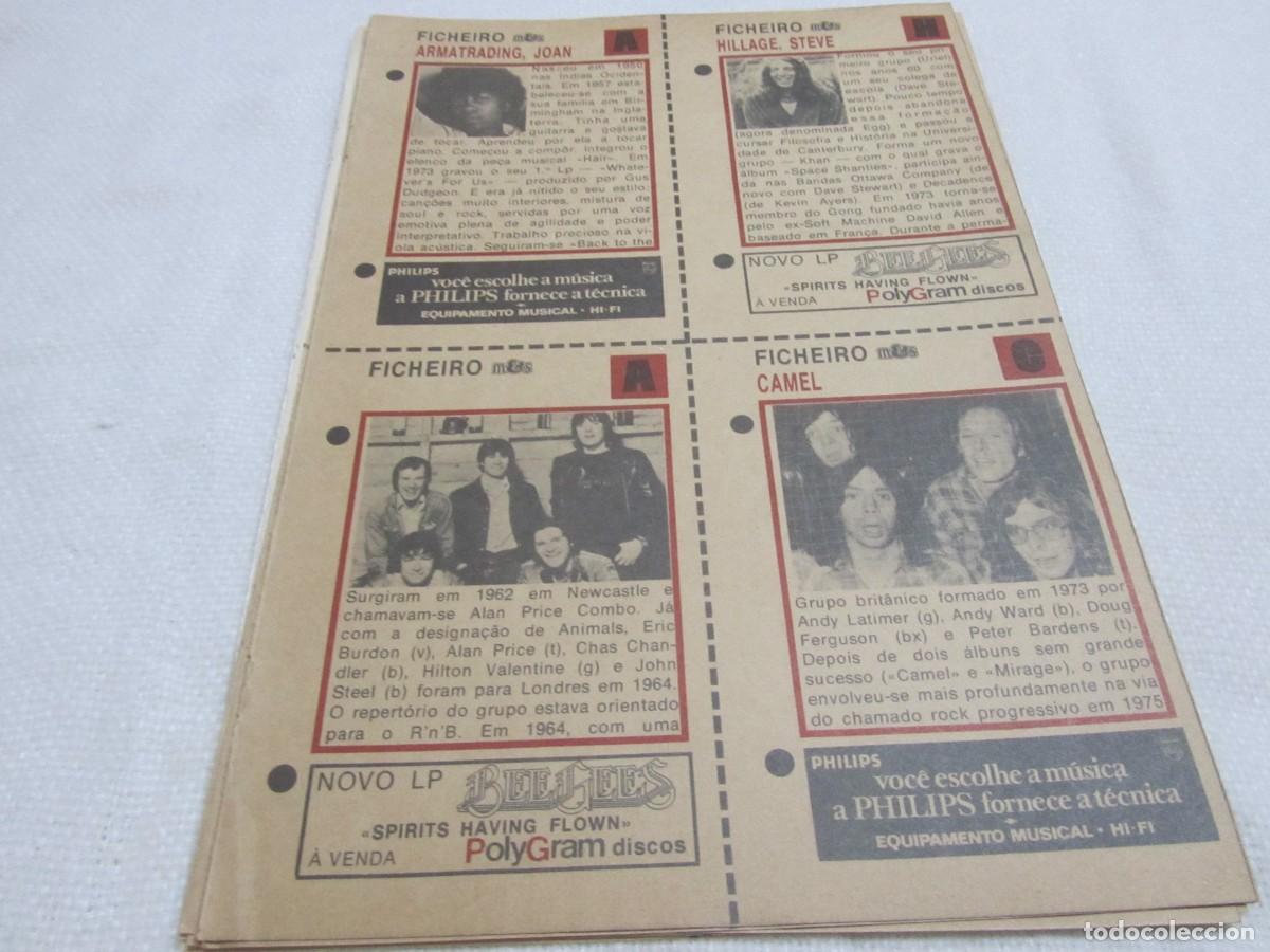 Revistas de m&uacute;sica: JOAN ARMATRADING,STEVE HILLAGE,CAMEL,THE ANIMALS
