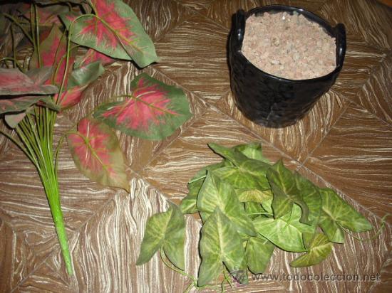 Nuevo: MACETERO ESMALTADO CON PLANTA - Foto 2