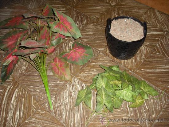 Nuevo: MACETERO ESMALTADO CON PLANTA - Foto 4