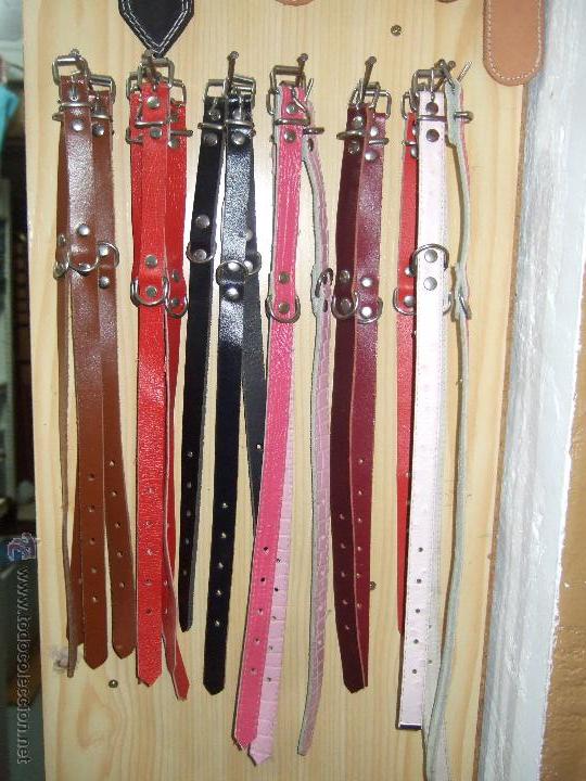 Nuevo: LOTE DE COLLARES PARA ANIMAL CUERO - Foto 1