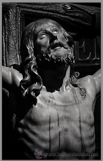 Nuevo: Espectacular azulejo 20x30 del Cachorro en blanco y negro. - Foto 1