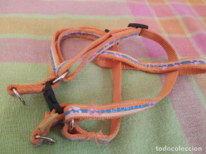 Nuevo: Lote 2 arneses y 2 collares perro mini. Nuevos - Foto 3