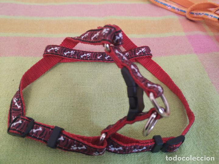 Nuevo: Lote 2 arneses y 2 collares perro mini. Nuevos - Foto 4