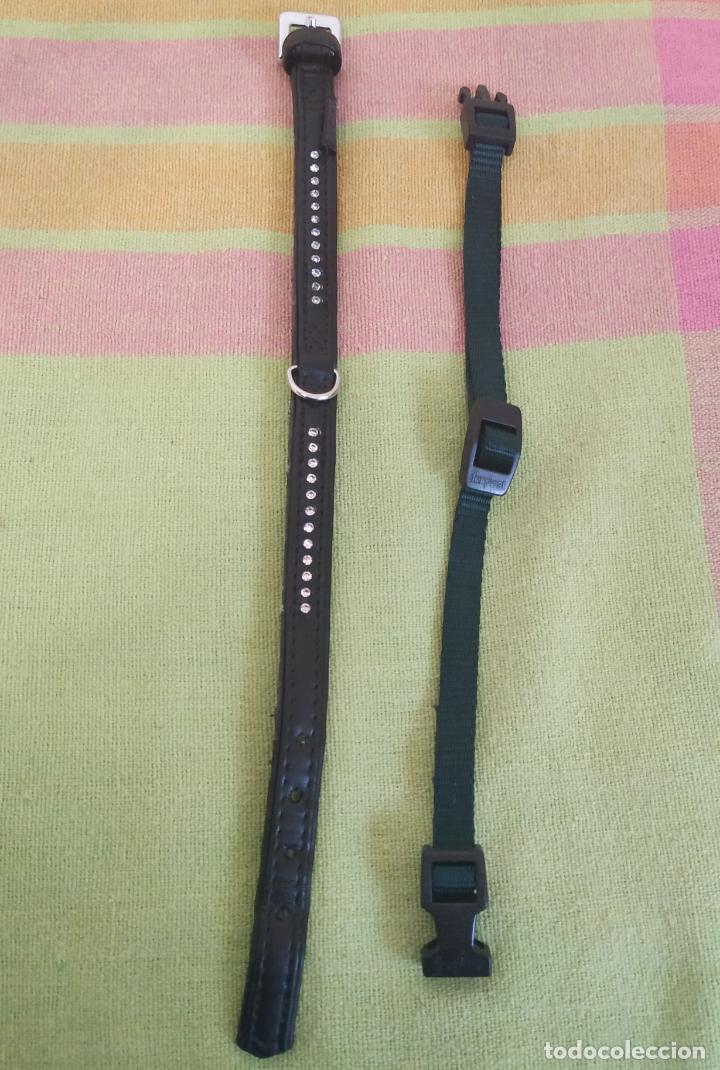 Nuevo: Lote 2 arneses y 2 collares perro mini. Nuevos - Foto 5
