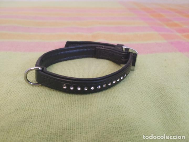 Nuevo: Lote 2 arneses y 2 collares perro mini. Nuevos - Foto 6