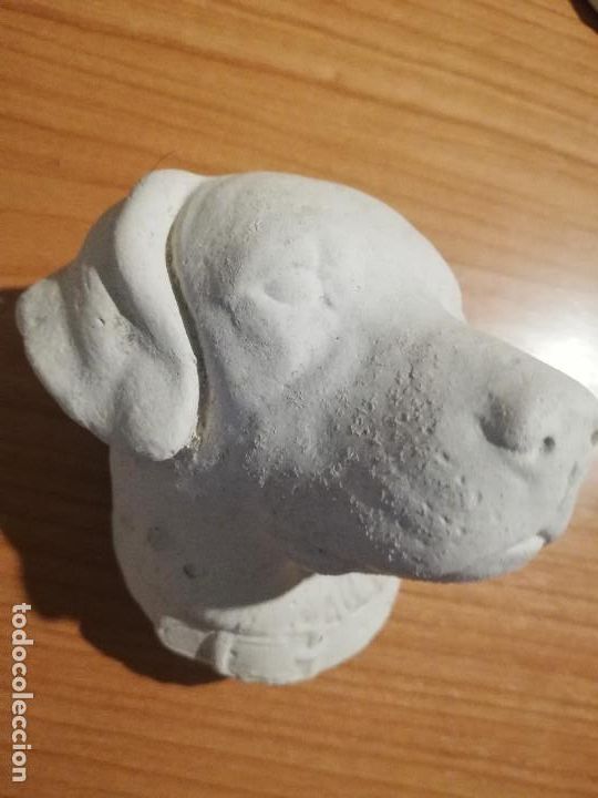 Nuevo: CABEZAS DE PERRO PARA PINTAR - Foto 1